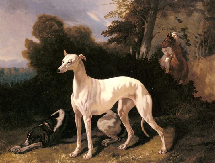 Alfred Dedreux A Greyhound In An Extensive Landscape oil painting picture